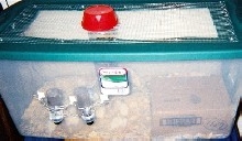 rat cage