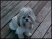 Nemo enjoying outside