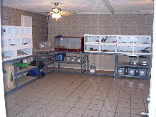 Half of the snake room