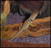 korbenlog