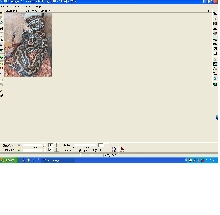 Python?