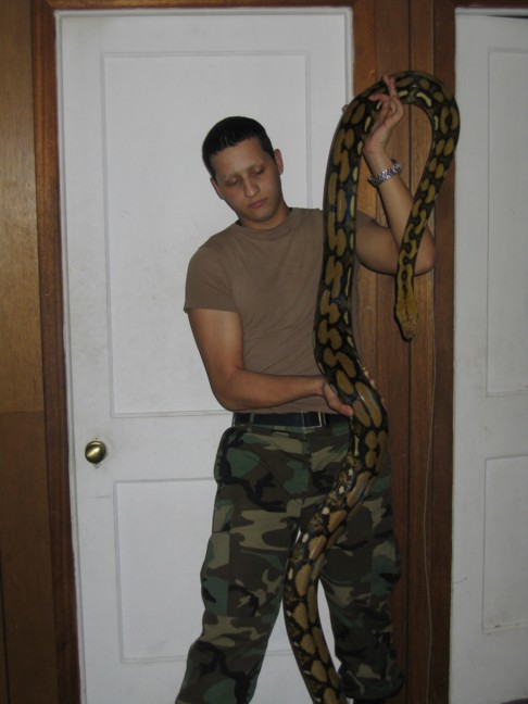 02 tiger het female