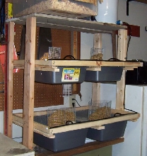 Rat Rack