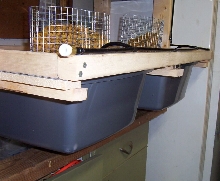 Rat Rack 2
