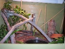 Coastal Carpet Cage