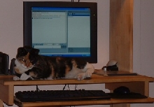 Dis me getting used to MY new puter, MOL!