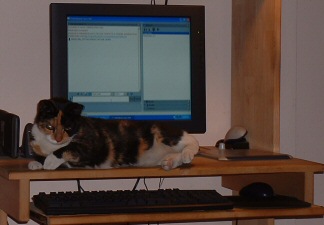 Dis me getting used to MY new puter, MOL!