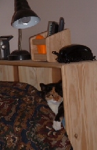 time furr a nap