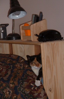 time furr a nap