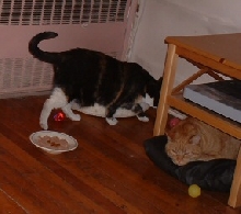 Me an my bruvver Sherbrooke