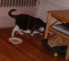 Me an my bruvver Sherbrooke