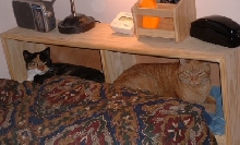 Anuvver new bed!