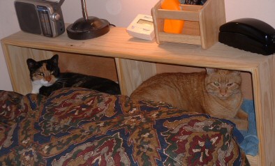 Anuvver new bed!