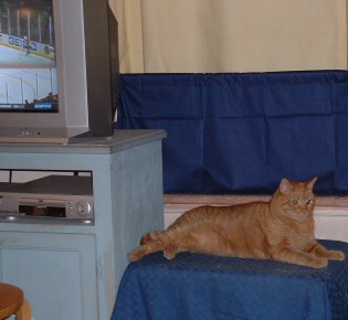Sherbrooke at home