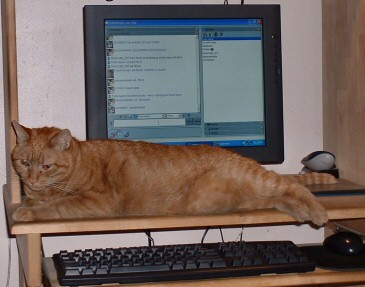 it chat time!
