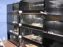 Sheet metal cages