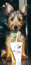 bonzer mcd shake pic
