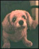 My old girl