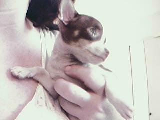 Peanut's sweet face