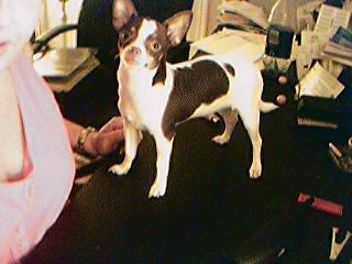 Peanut at 6 mo