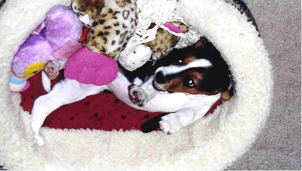 Baby Cleo