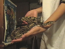 Me holding regis