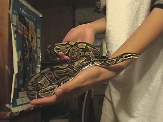 Me holding regis