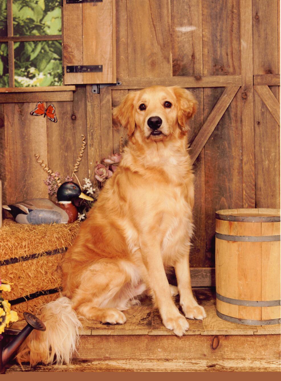 Wallace