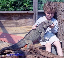 Zack and Jordan