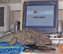 Computer Weenie