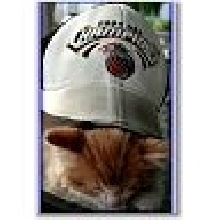 Pistons Fan