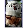 Pistons Fan