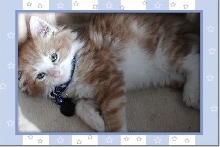 Twinkles the Wonder Boy