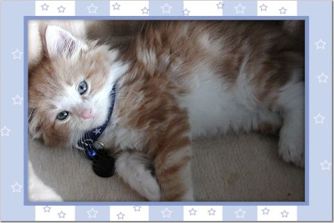 Twinkles the Wonder Boy