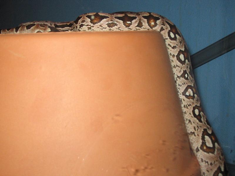 Photo two of five