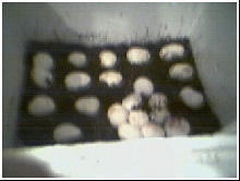 Eggs2