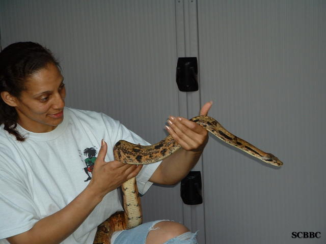CARMEN & "THE KRAKEN" II