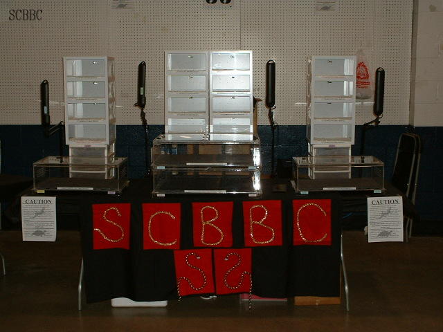 2008 MARS
