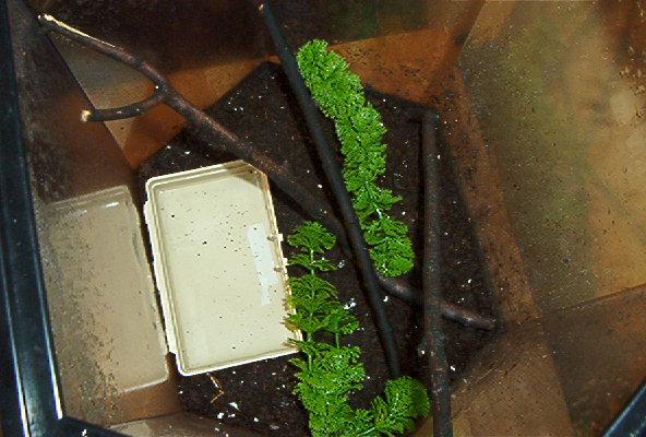 tank inside