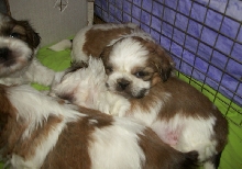 snuggle up