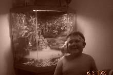 My Fire Bellied Toad Tank