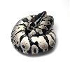 Lemon Pastel TSK Axanthic
