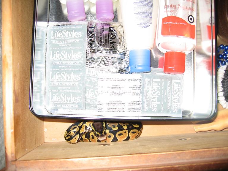Found him!