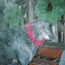 Holiday spirit?