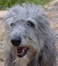 Goodbye, My Skye