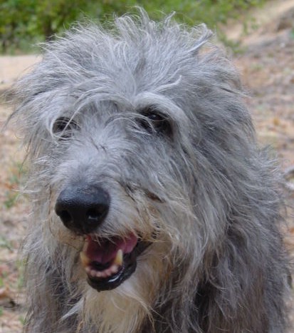 Goodbye, My Skye