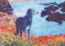 Fergus