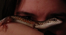 Socrartes and I