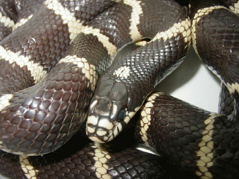 In my backyard