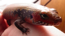 Nanya likes the camera